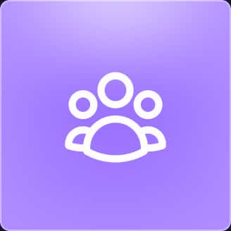Icon profile
